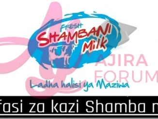 Shambani Milk internship Program July 2024