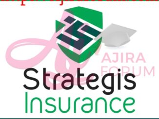  Job Vacancies at Strategis Insurance -Audit and Risk Manager ,July 2024