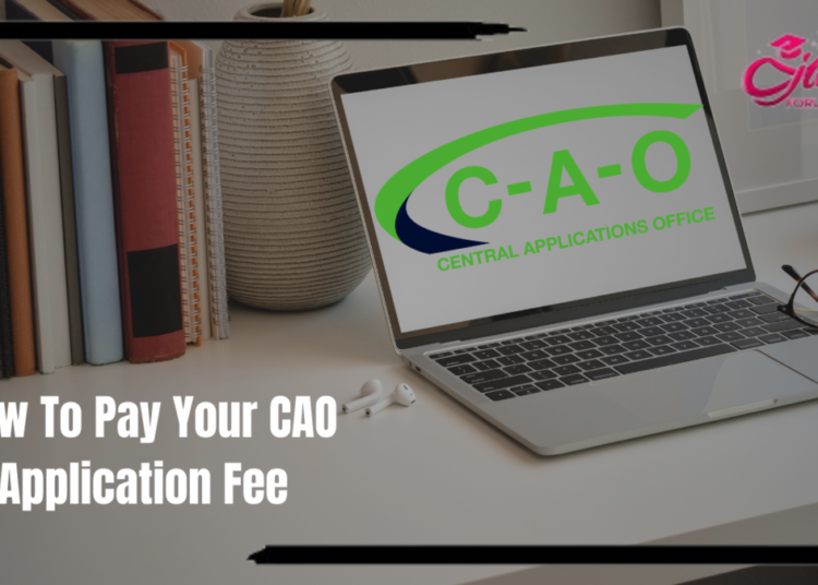 How to pay CAO application fee online