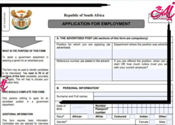 How to Fill in The Z83 Government Application Form