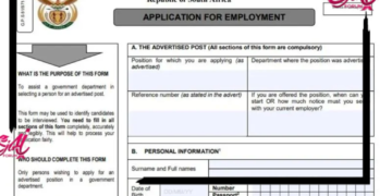 How to Fill in The Z83 Government Application Form