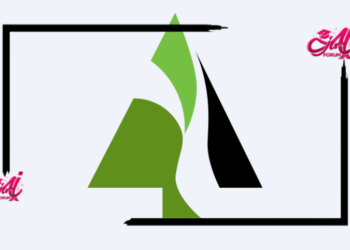 York Timbers: Graduates Internships Programme 2026