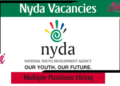 How to Register, Upload a CV, and Apply for Government Jobs at NYDA e-Recruitment Portal