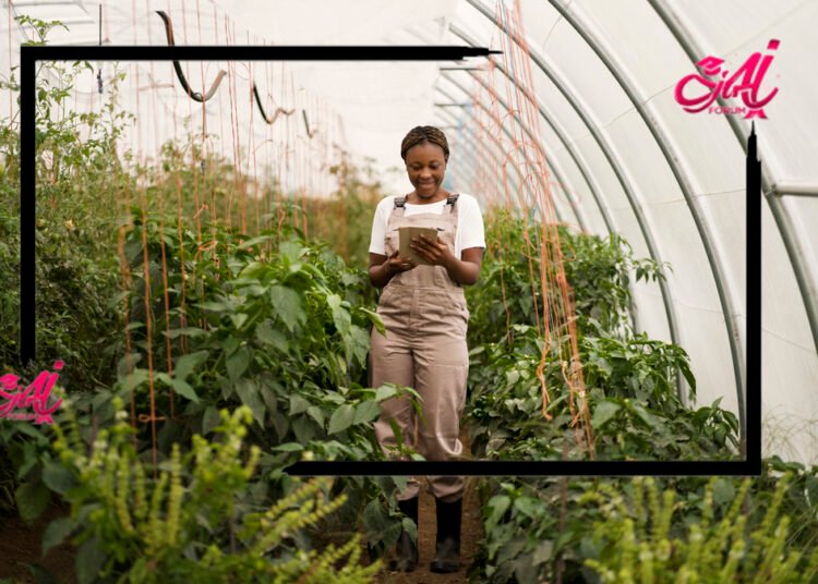 Agtech@NWK Student Agriculture Funding Programme 2026