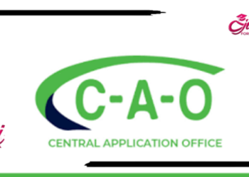 Complete Guide How To Submit Your CAO Online Application