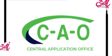 Complete Guide How To Submit Your CAO Online Application