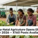 KwaZulu-Natal Agriculture Opens EPWP Jobs for 2026 – X160 Posts Available