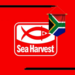 Sea Harvest Engineering Graduate Vacancies 2026 in South Africa