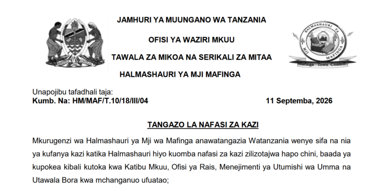 Job Vacancy Mafinga District Council September 2026