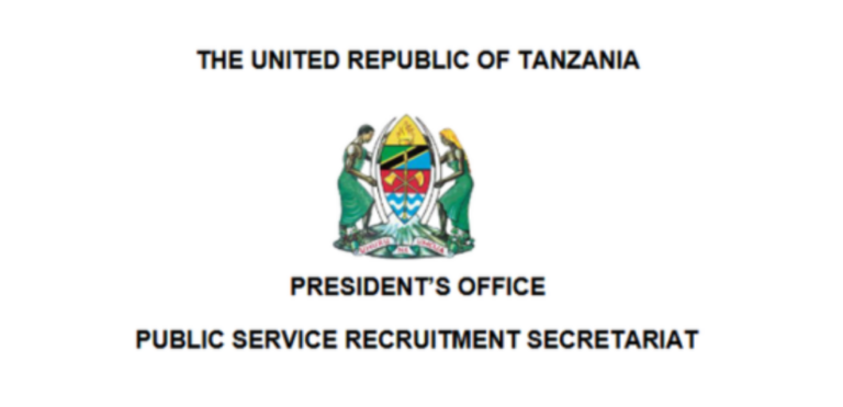 NEEC Executive Secretary Vacancy 2026: New Job Opportunity at NEEC Tanzania