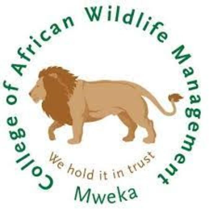 CAWM Jobs 2026: 7 Vacancies at College of African Wildlife Management Mweka CAWM Jobs 2026: 7 Vacancies at College of African Wildlife Management Mweka