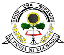 IRDP Vacancies October 2026: New Job Opportunities in Tanzania