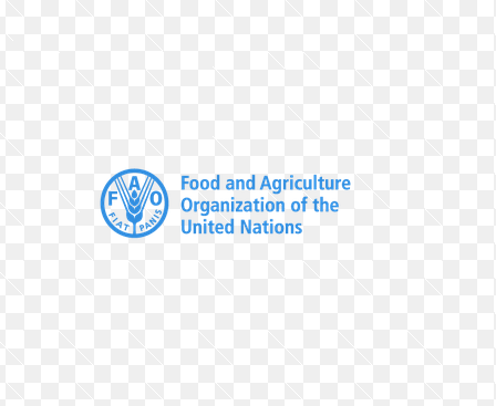 FAO Tanzania Announces New Job Vacancies for October 2026 – Apply Now