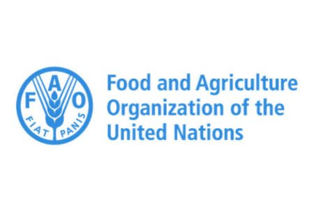 New FAO Tanzania Vacancies October 2026: Apply for Latest Jobs